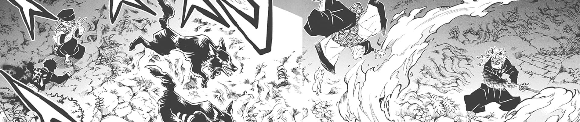 Banner image of Kimetsu no Yaiba: Rengoku Volume 0