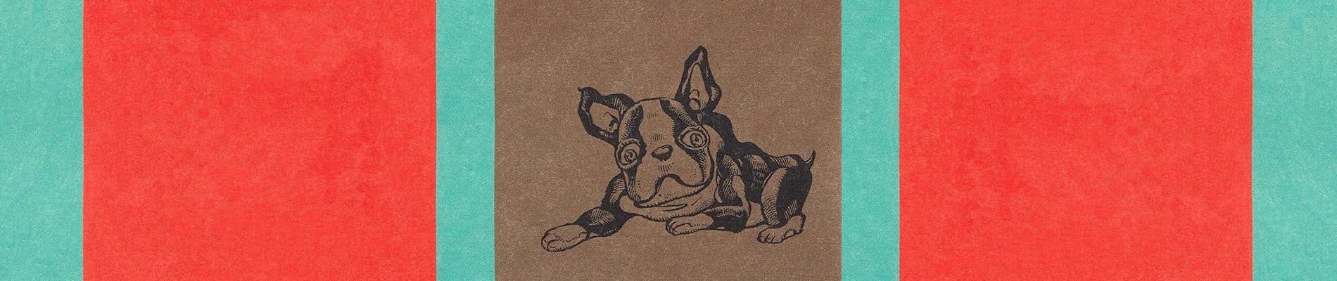 Banner image of Norainu Iggy